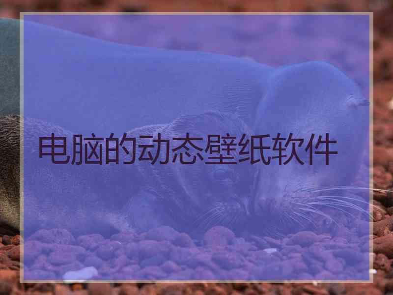 电脑的动态壁纸软件