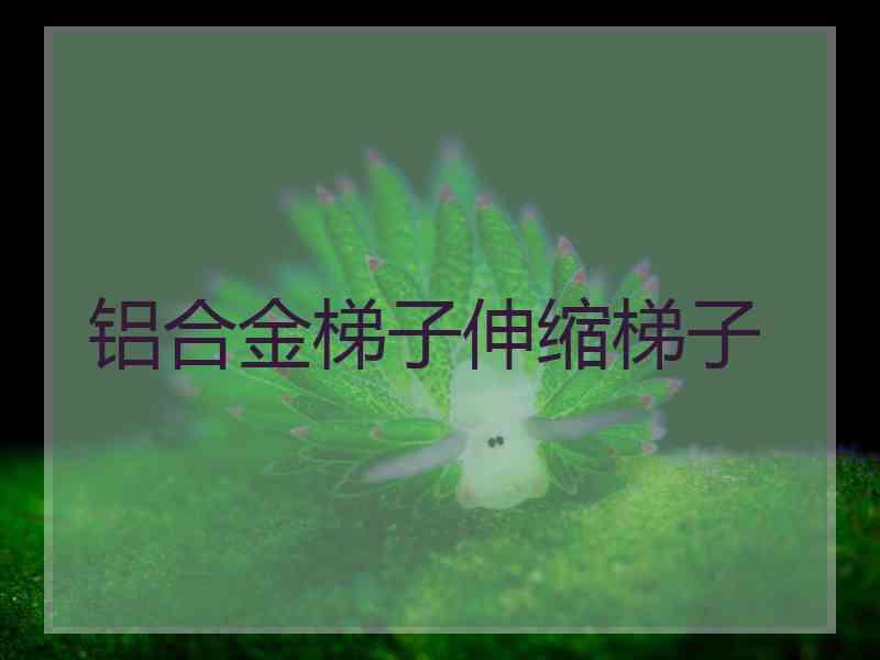 铝合金梯子伸缩梯子