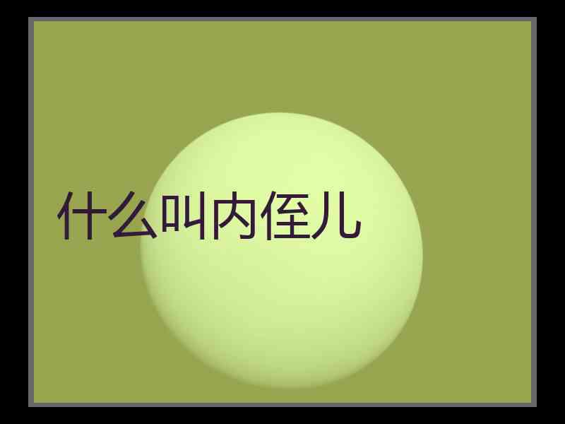 什么叫内侄儿