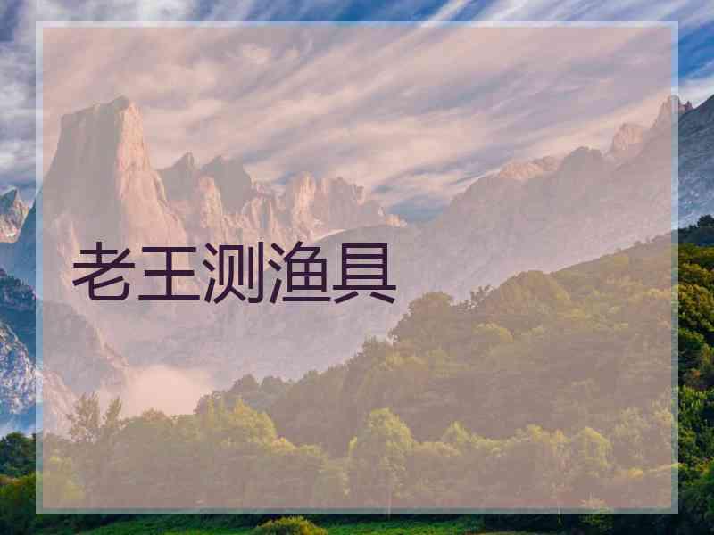 老王测渔具