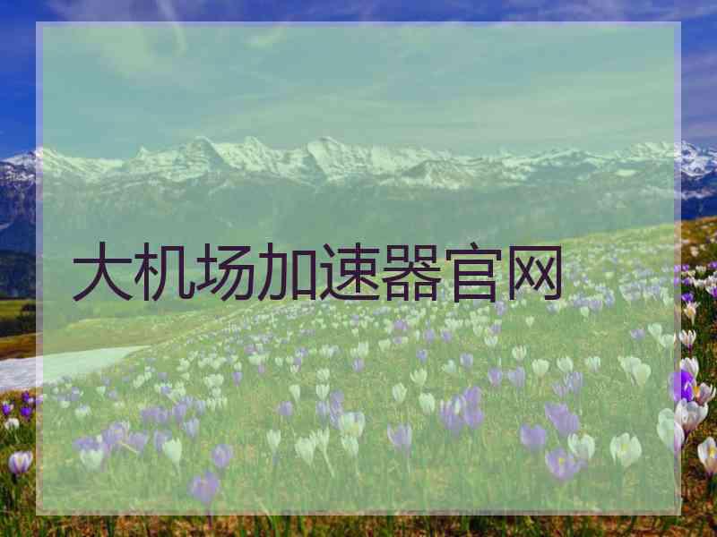 大机场加速器官网