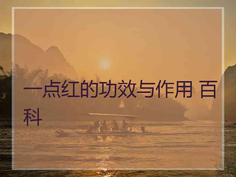 一点红的功效与作用 百科