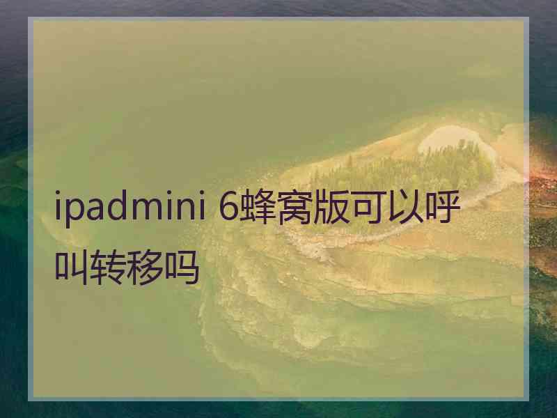 ipadmini 6蜂窝版可以呼叫转移吗