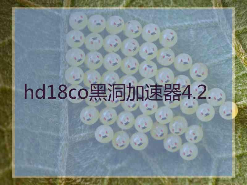hd18co黑洞加速器4.2.