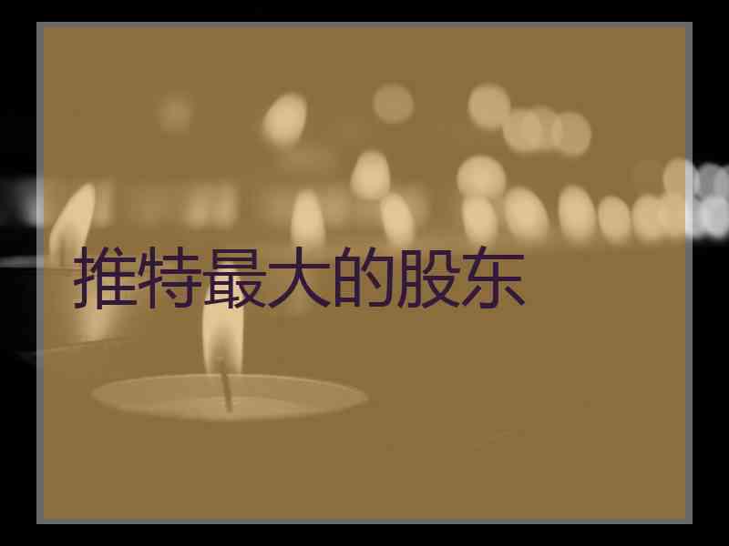 推特最大的股东
