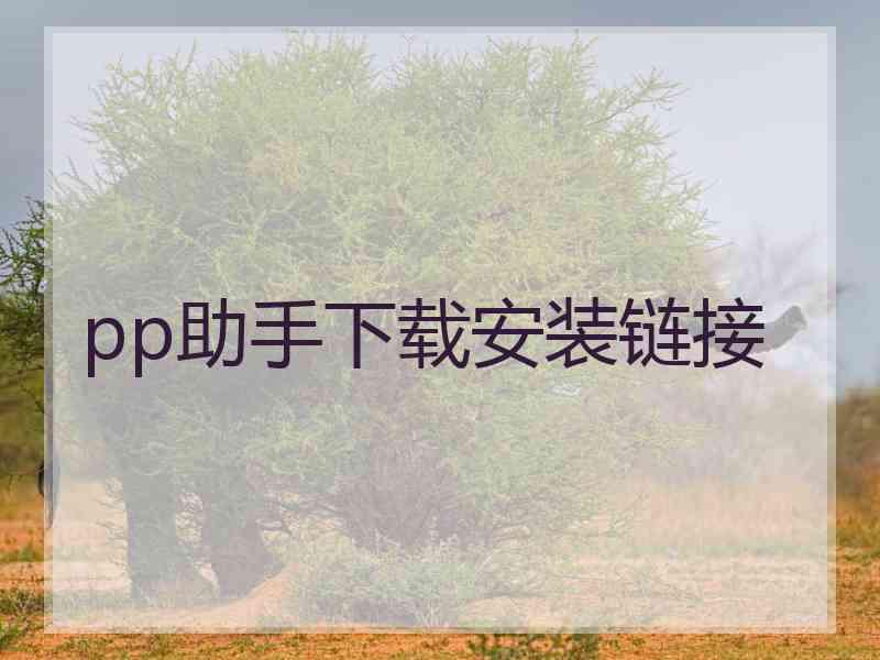 pp助手下载安装链接