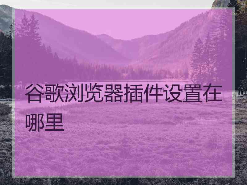 谷歌浏览器插件设置在哪里