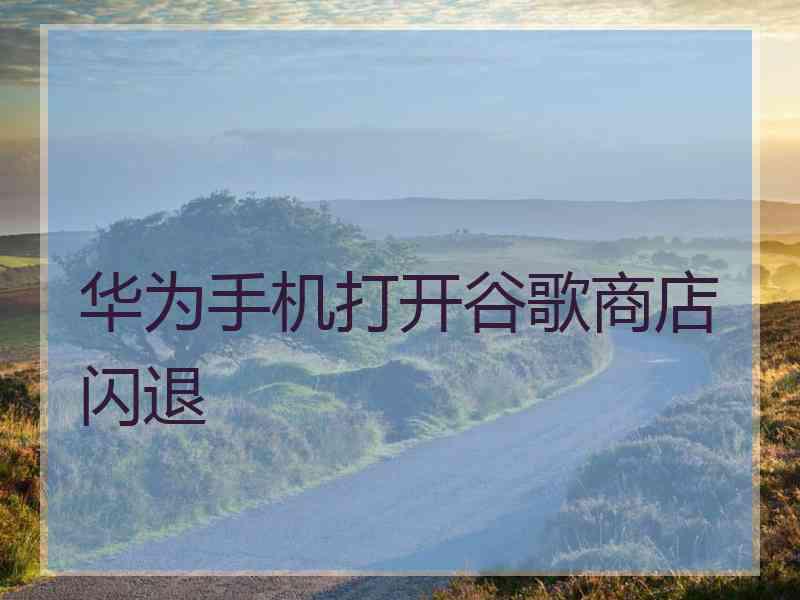 华为手机打开谷歌商店闪退