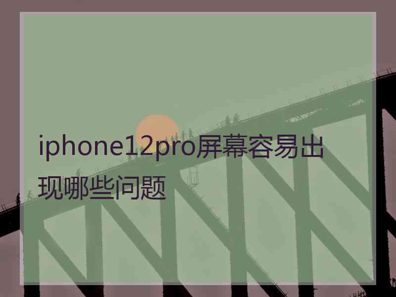 iphone12pro屏幕容易出现哪些问题