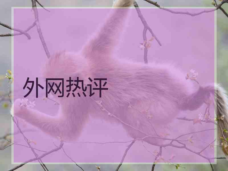 外网热评