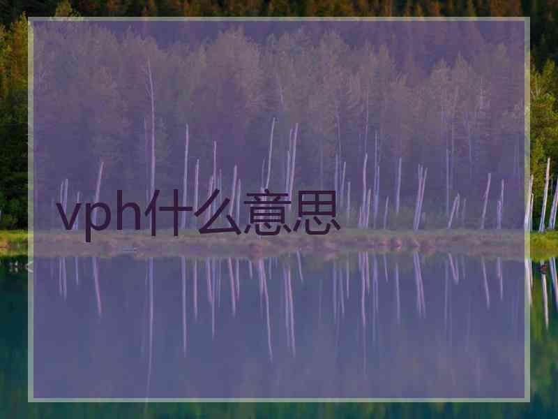 vph什么意思