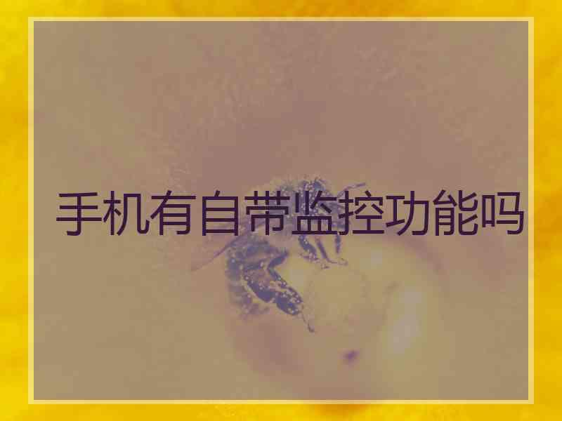 手机有自带监控功能吗