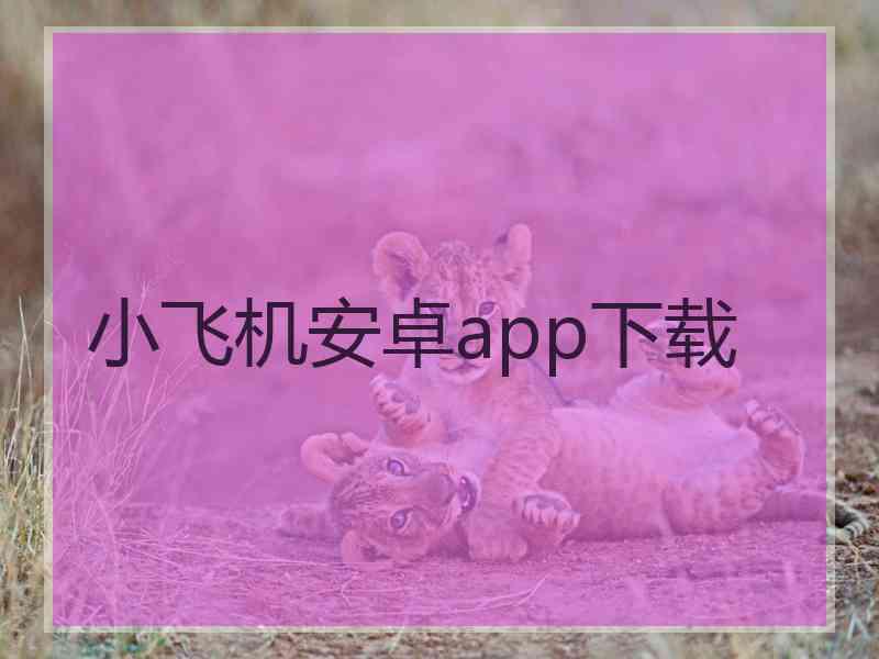 小飞机安卓app下载