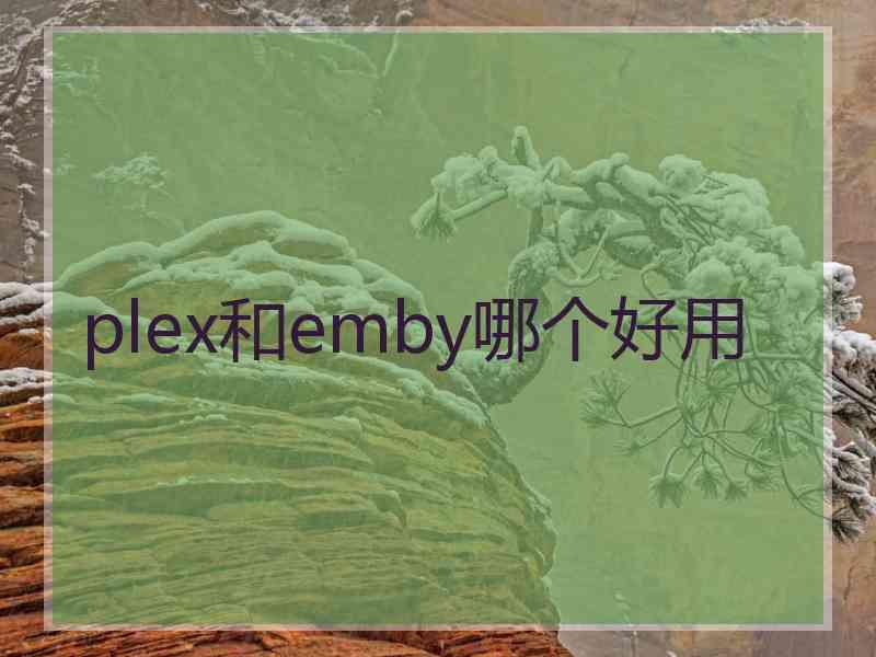 plex和emby哪个好用