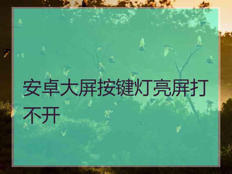 安卓大屏按键灯亮屏打不开