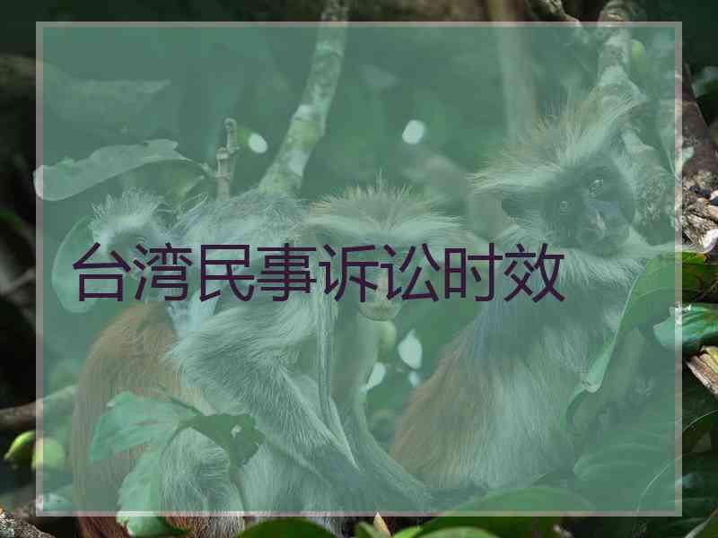 台湾民事诉讼时效