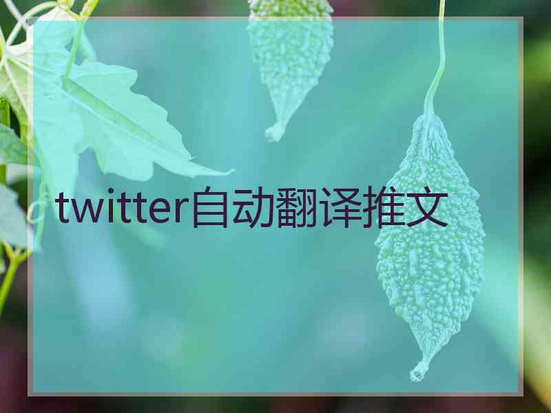 twitter自动翻译推文