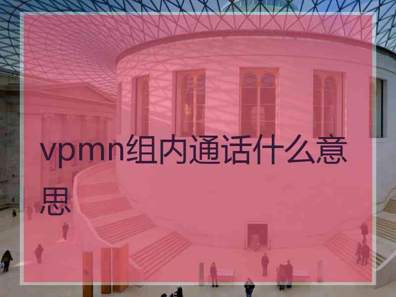 vpmn组内通话什么意思