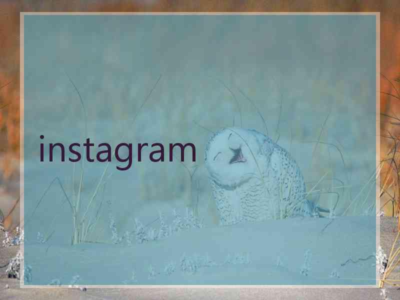 instagram 