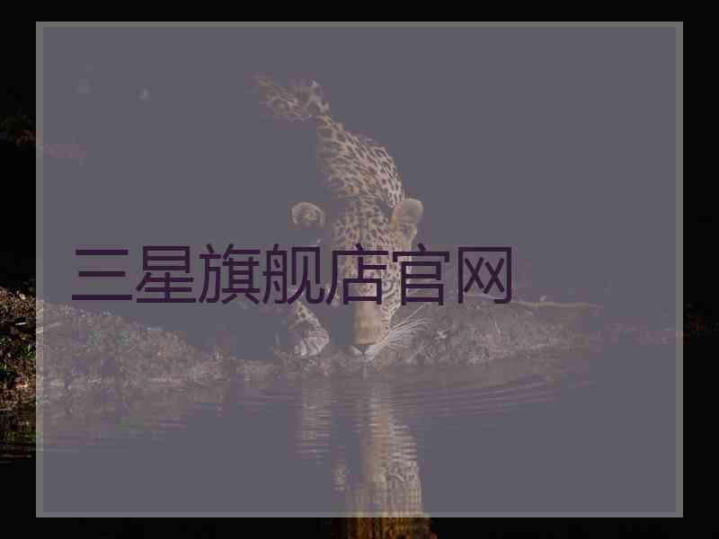 三星旗舰店官网