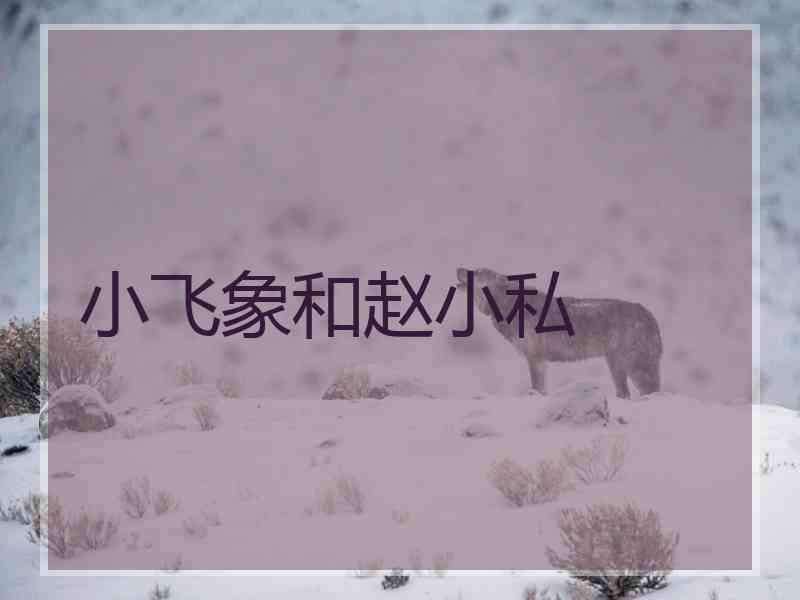 小飞象和赵小私