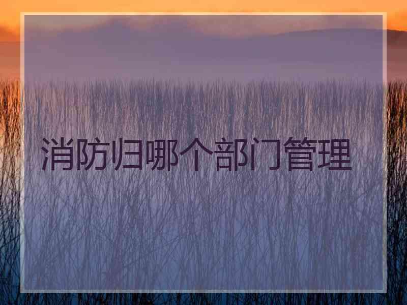 消防归哪个部门管理