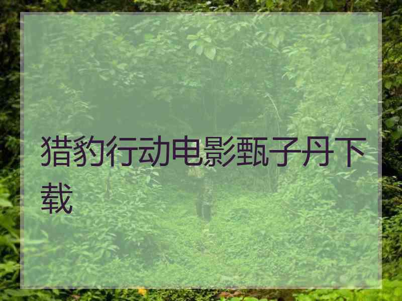 猎豹行动电影甄子丹下载