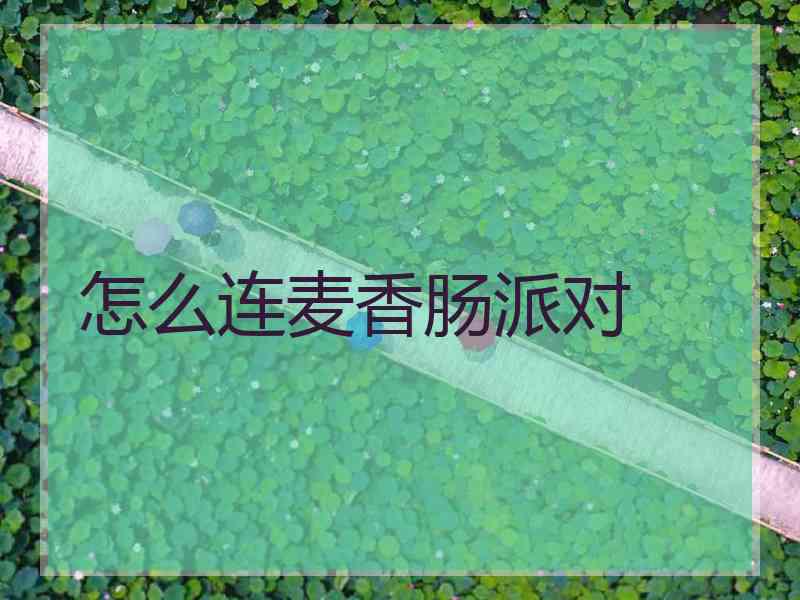 怎么连麦香肠派对