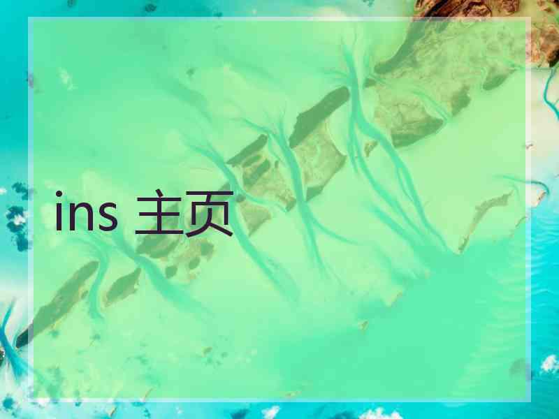 ins 主页