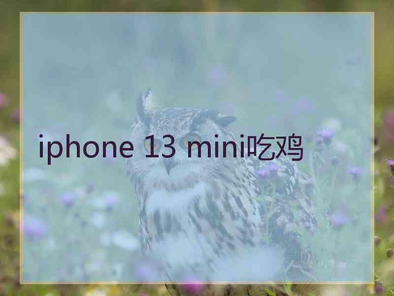 iphone 13 mini吃鸡