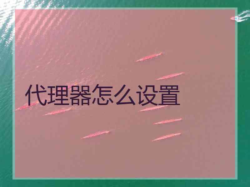 代理器怎么设置