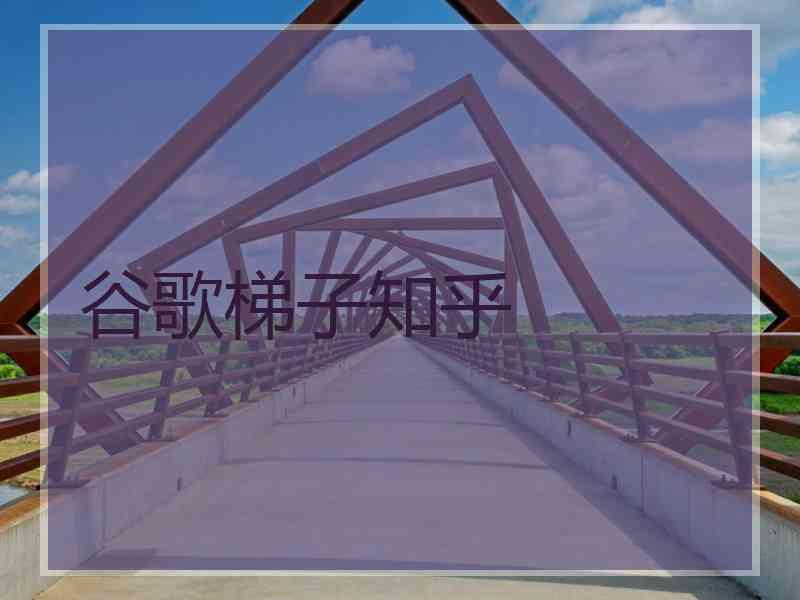谷歌梯子知乎
