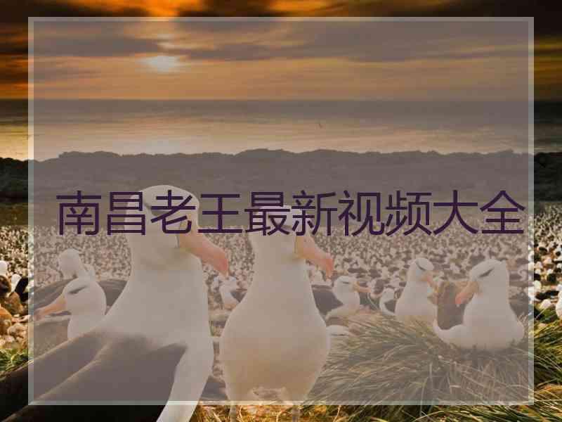 南昌老王最新视频大全