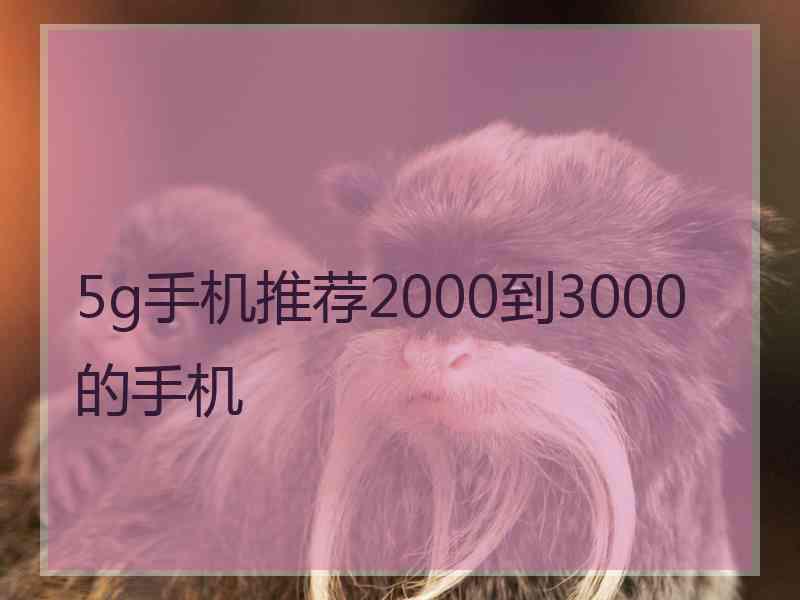 5g手机推荐2000到3000的手机