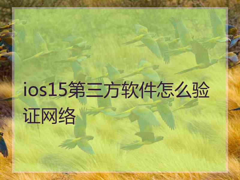 ios15第三方软件怎么验证网络