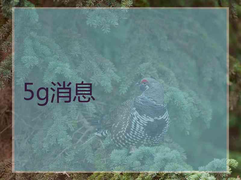 5g消息