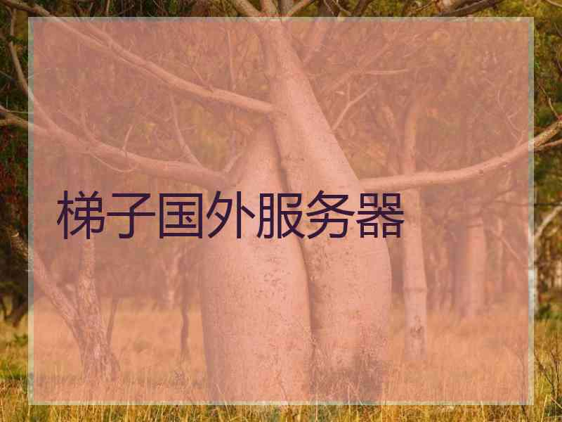 梯子国外服务器