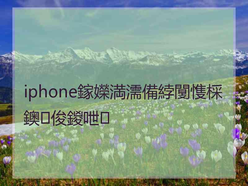 iphone鎵嬫満濡備綍闅愯棌鐭俊鍐呭