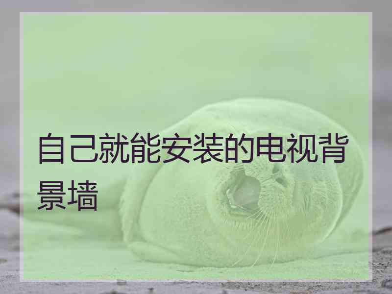 自己就能安装的电视背景墙