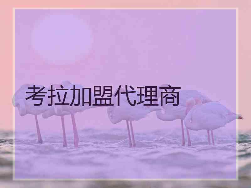 考拉加盟代理商