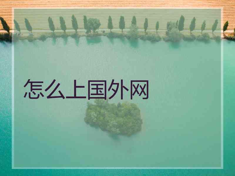 怎么上国外网