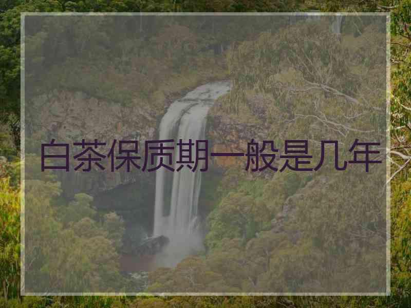 白茶保质期一般是几年