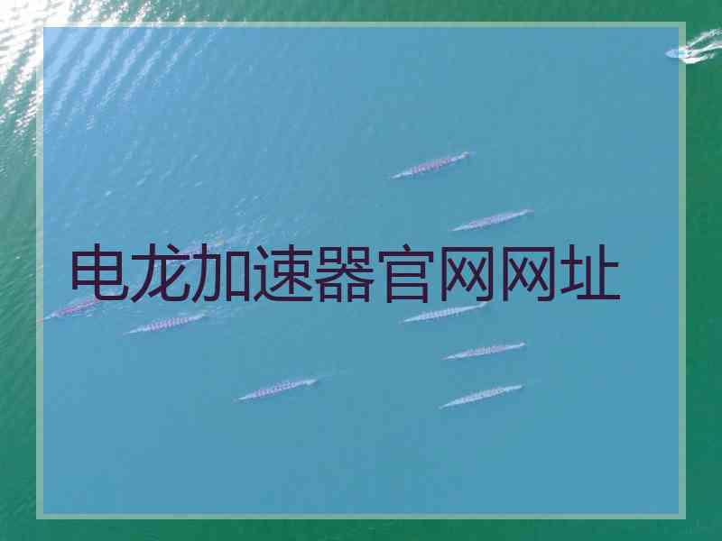 电龙加速器官网网址