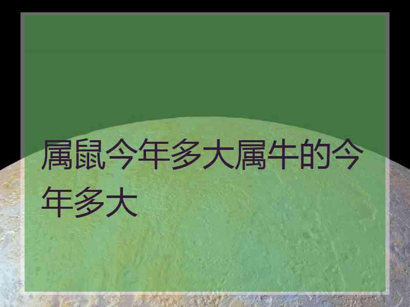 属鼠今年多大属牛的今年多大