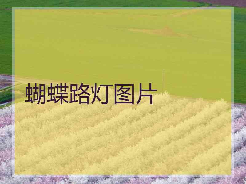 蝴蝶路灯图片