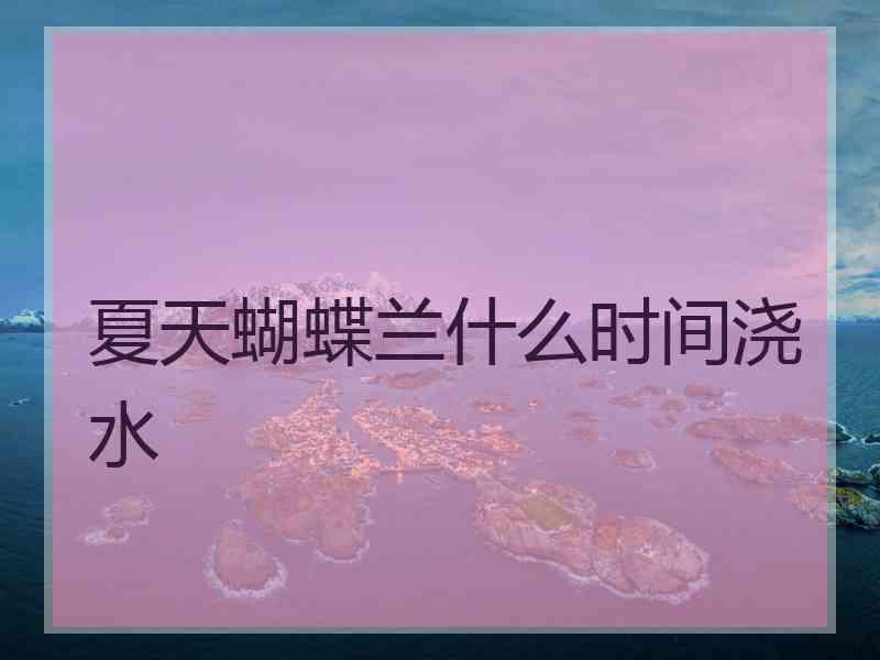夏天蝴蝶兰什么时间浇水