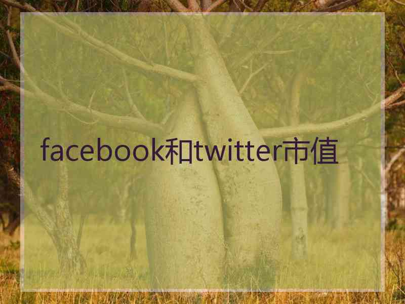 facebook和twitter市值