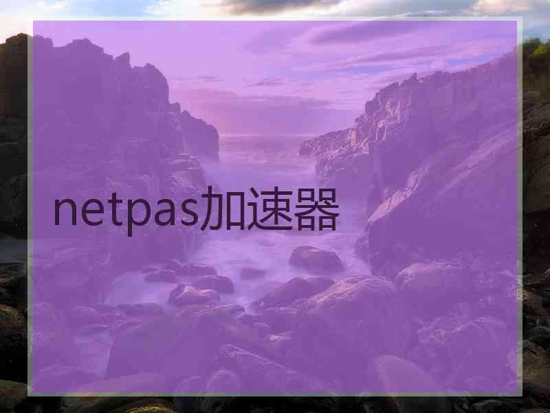 netpas加速器