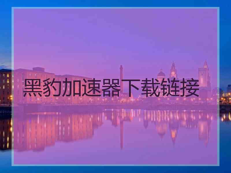 黑豹加速器下载链接