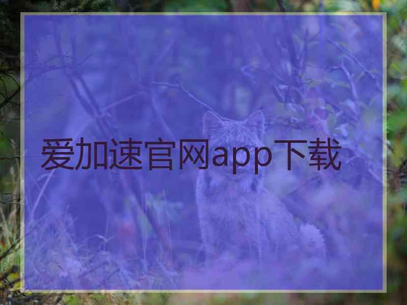 爱加速官网app下载